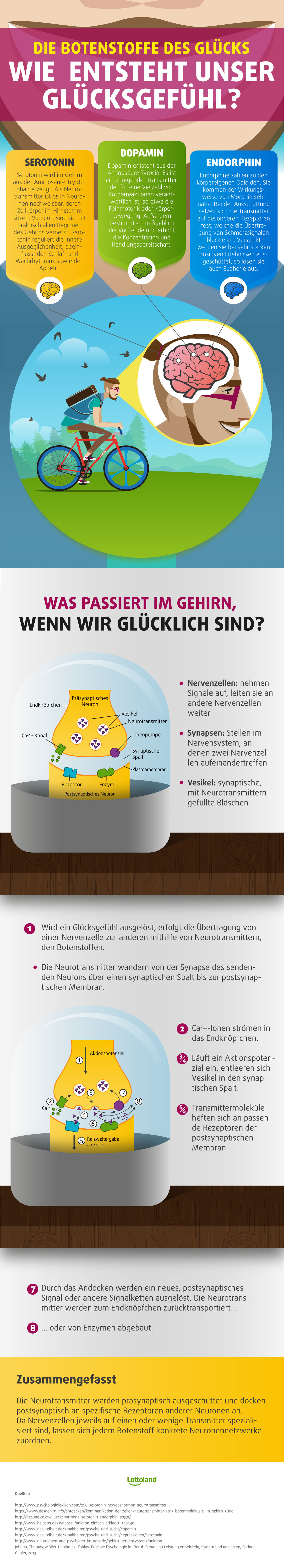 Wie entsteht unser Glücksgefühl?