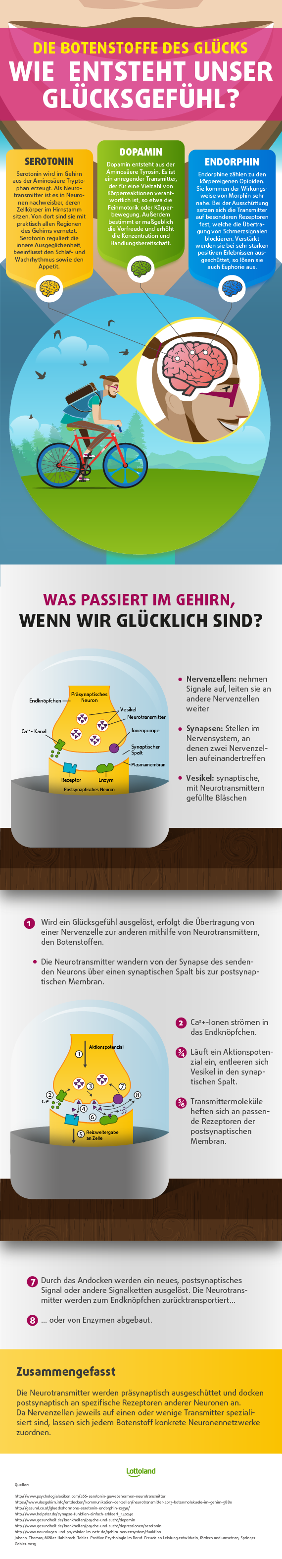 Wie Glücksgefühle entstehen