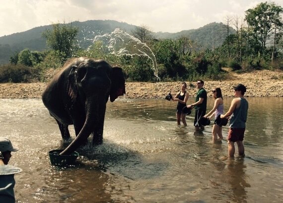 Unglaubliche Bilder - Doppelter Elefant im Wasser